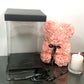 Rose Bear with Gift Box & Sterling Silver Necklace in Gift Box included